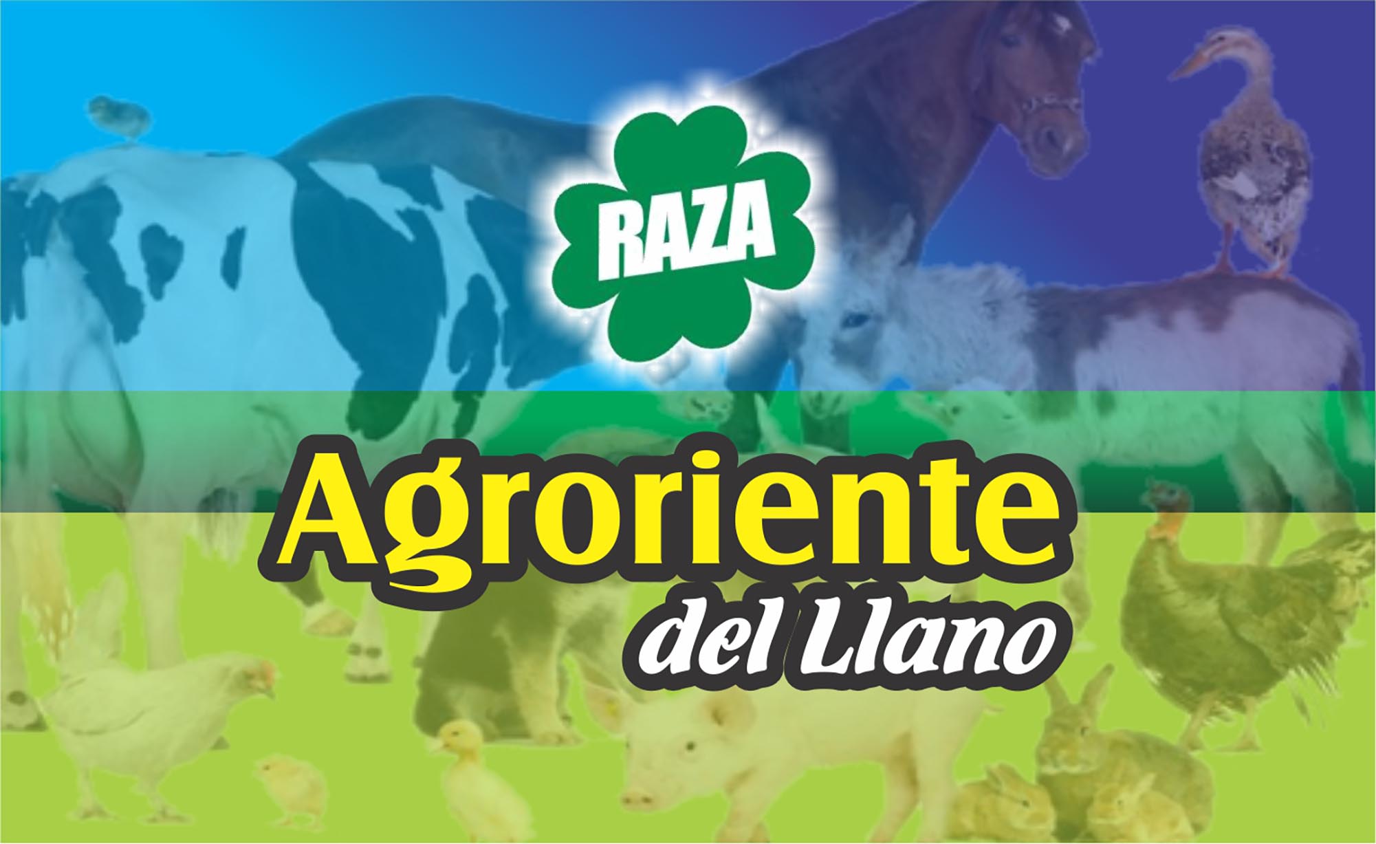 AGRORIENTE DEL LLANO