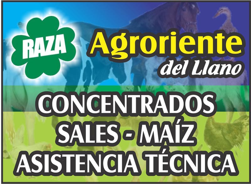 AGRORIENTE DEL LLANO