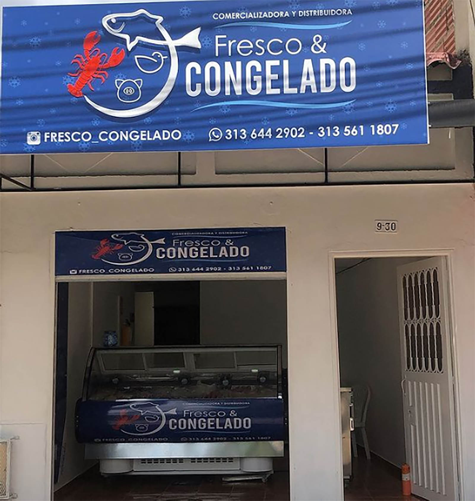 fesco y congelado f