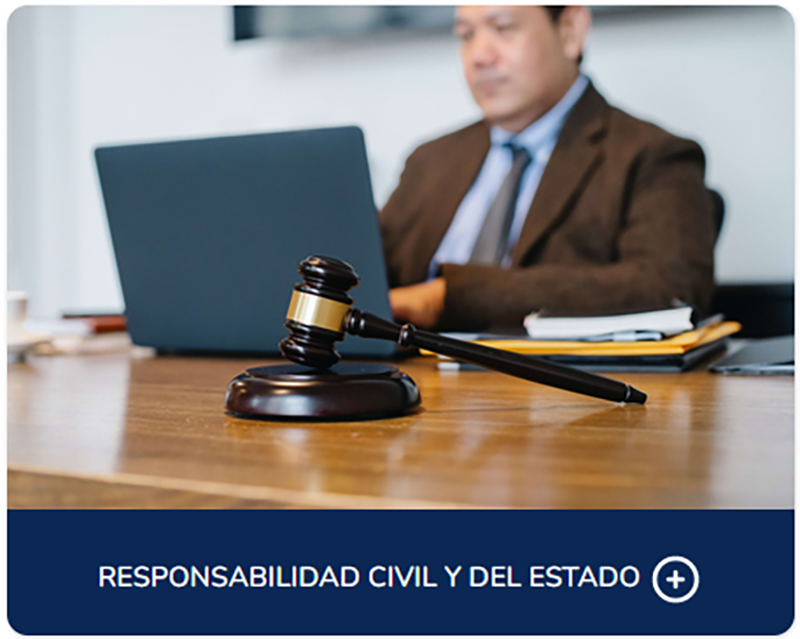litigius.com.co
