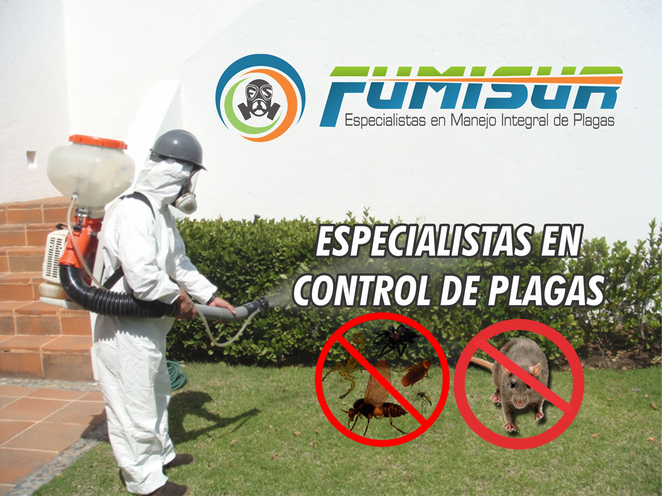 FUMISUR_fondo