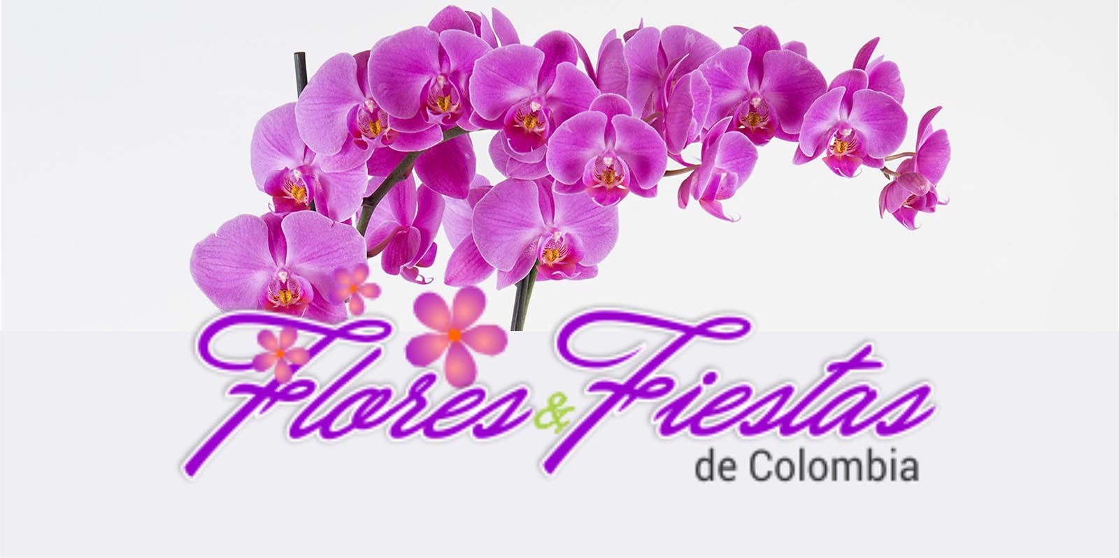 FLORES Y FIESTAS DE COLOMBIA (FUSA)