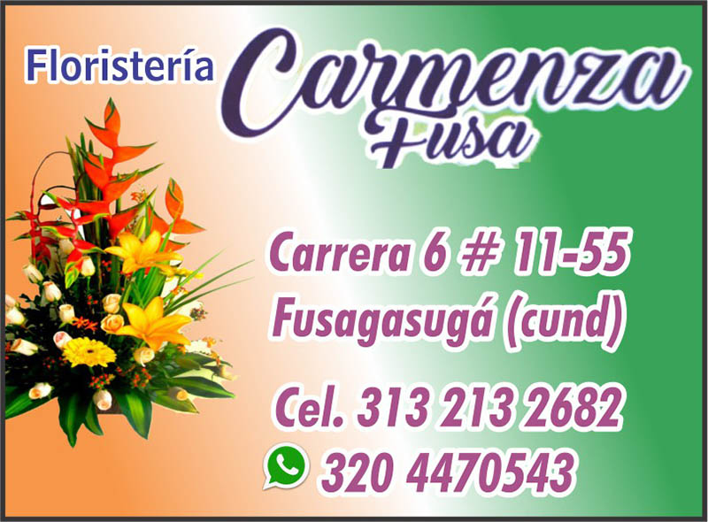 FLORISTERIA CARMENZA FUSA