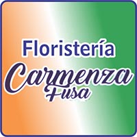 FLORISTERIA CARMENZA FUSA