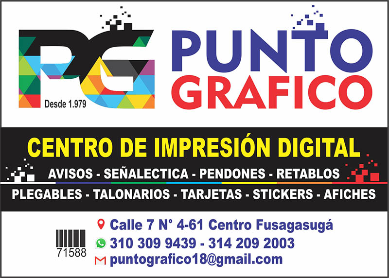 PUNTO GRAFICO