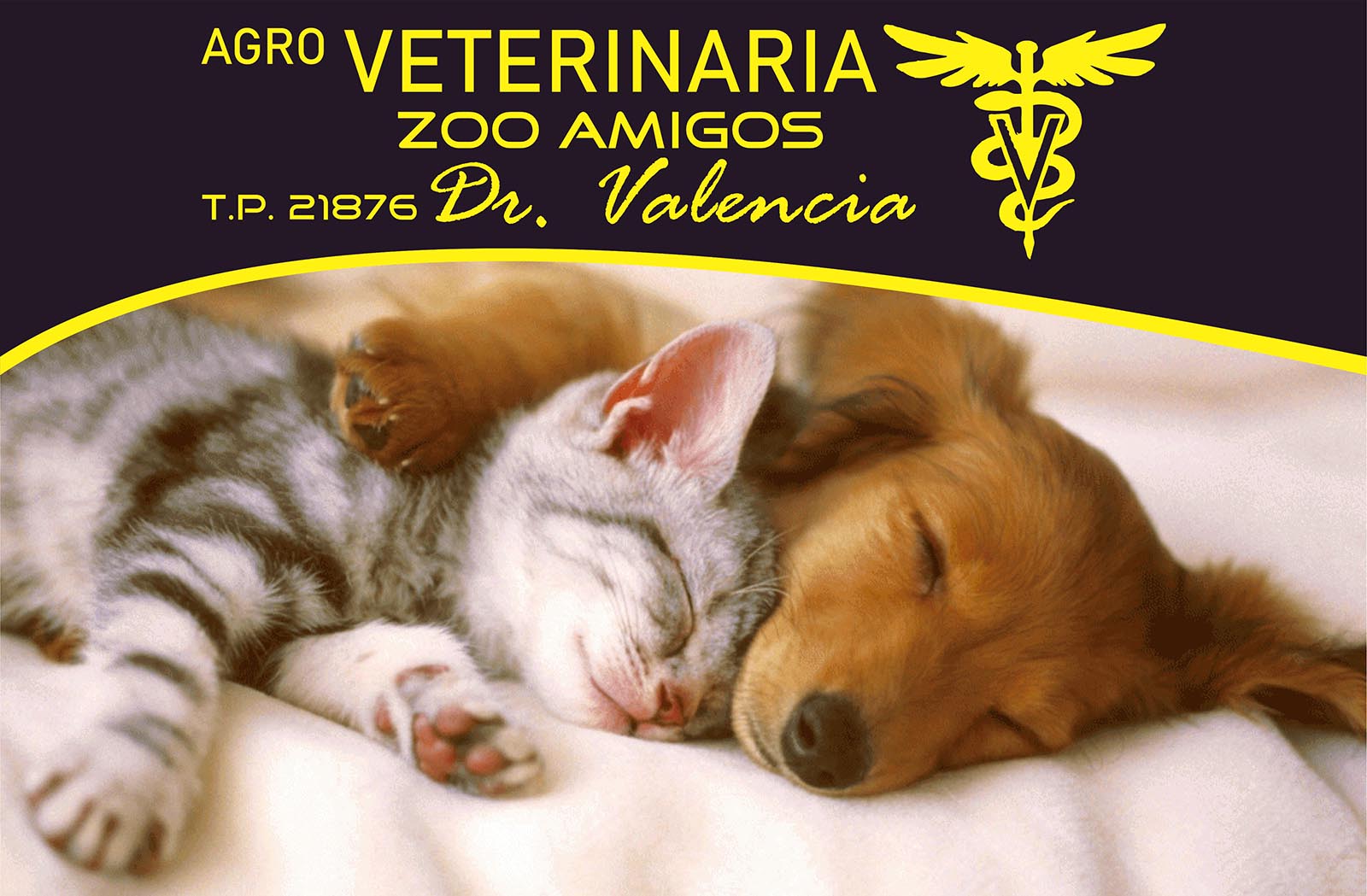 agro veterinaria zoo amigos_fondo