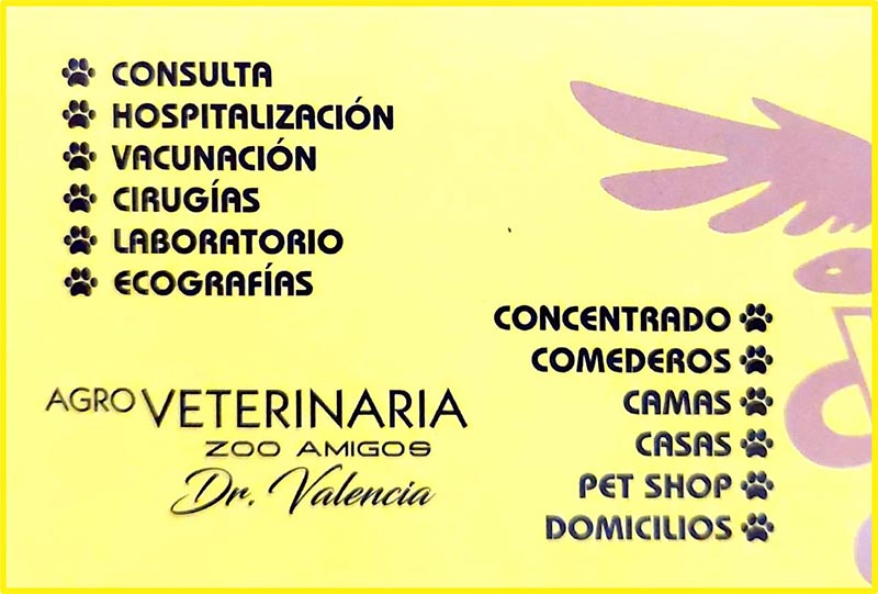 clínica-veterinaria ZOO AMIGOS