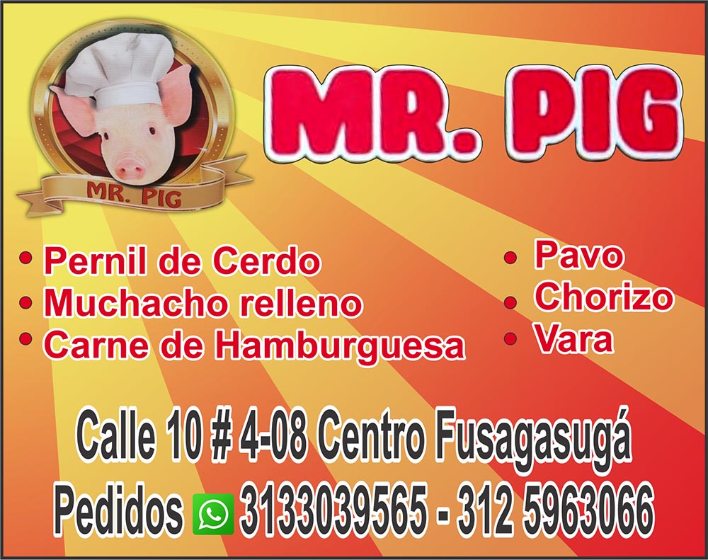 MR. PIG