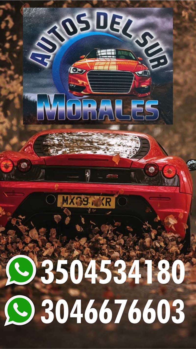 AUTOS DEL SUR MORALES