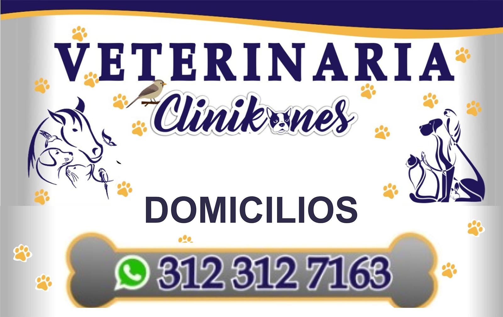 VETERINARIA CLINIKANES