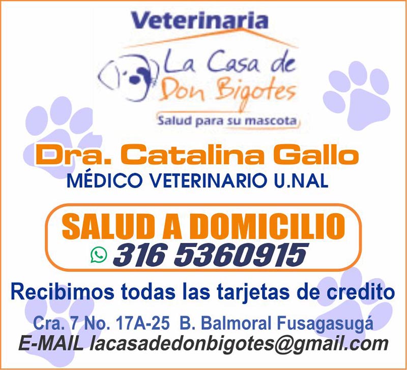Veterinaria la Casa de Don Bigotes