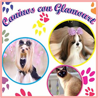 CANINOS CON GLAMOUR