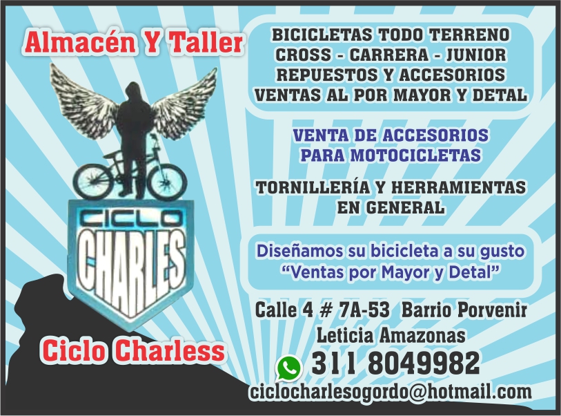 CICLO CHARLESS