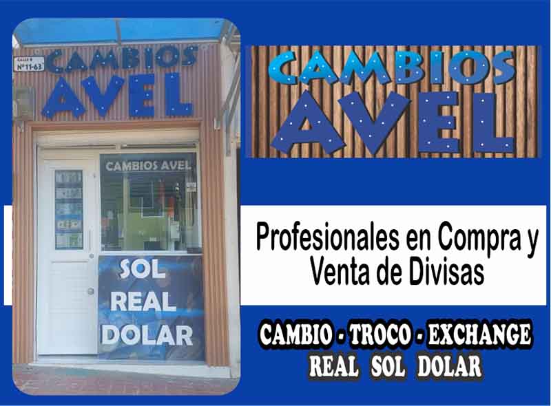 PROFESIONALES EN CAMBIOS AVEL
