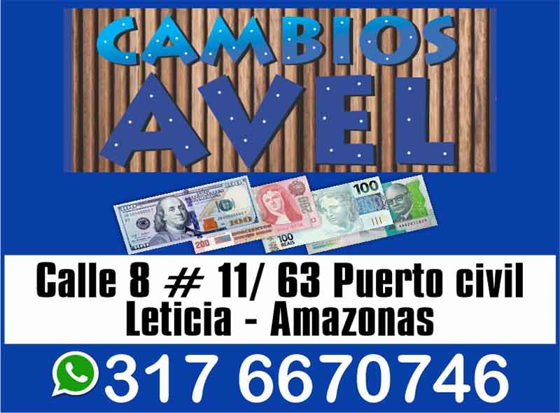 PROFESIONALES EN CAMBIOS AVEL