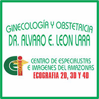 DR. ÁLVARO E. LEÓN LARA - GINECOLOGÍA Y OBSTETRICIA