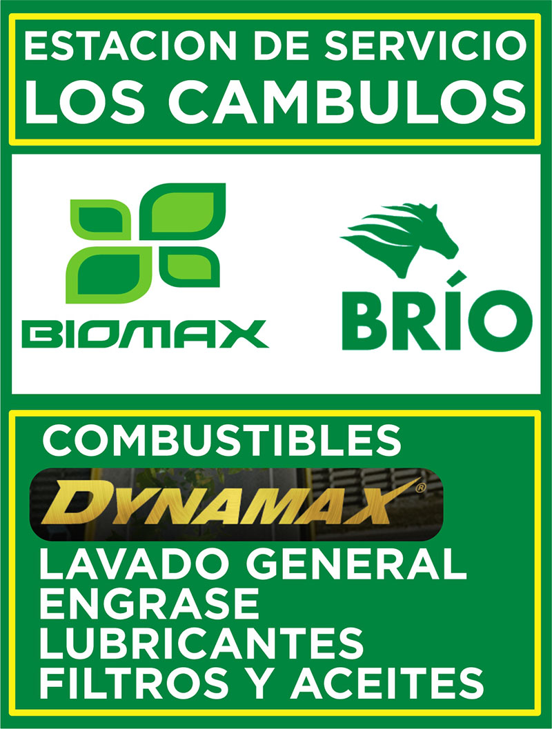 ESTACION DE SERVICIO BRIO LOS CAMBULOS