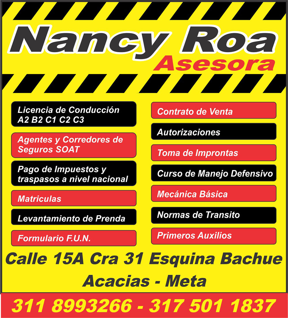 Nancy Roa Asesoria