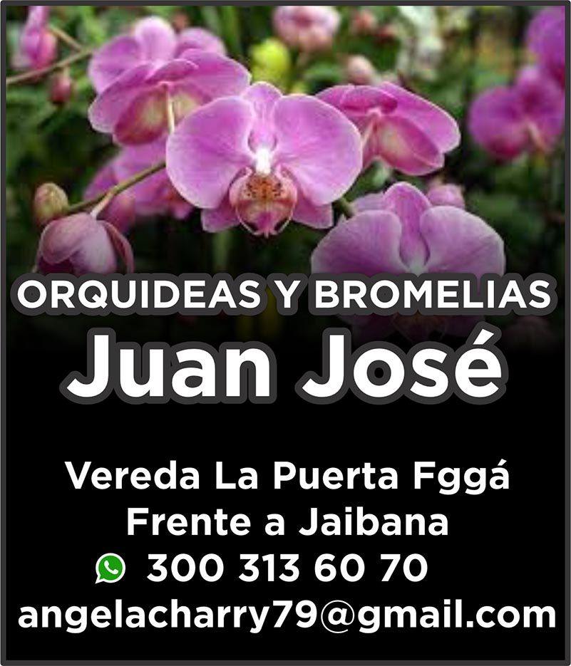 ORQUIDEAS Y BROMELIAS Juan José