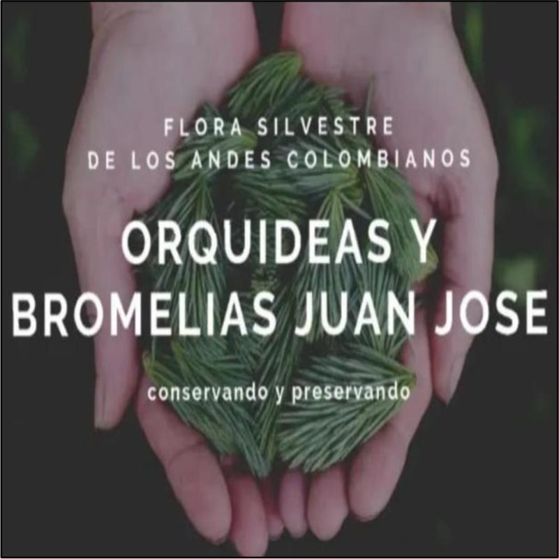ORQUIDEAS Y BROMELIAS Juan José