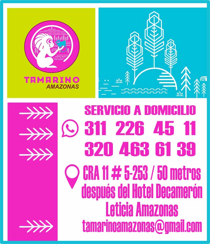 TAMARINO AMAZONAS