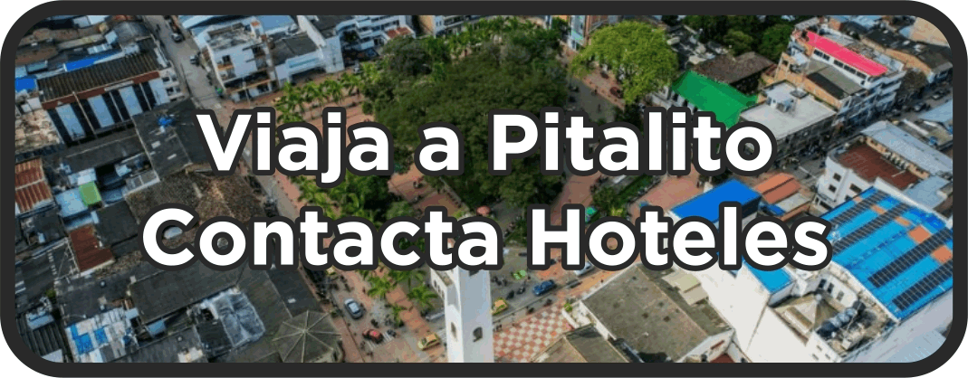 conoce hotel pitalito