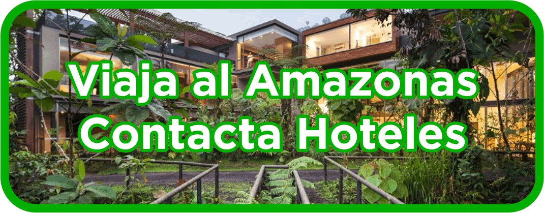 hoteles_leticia