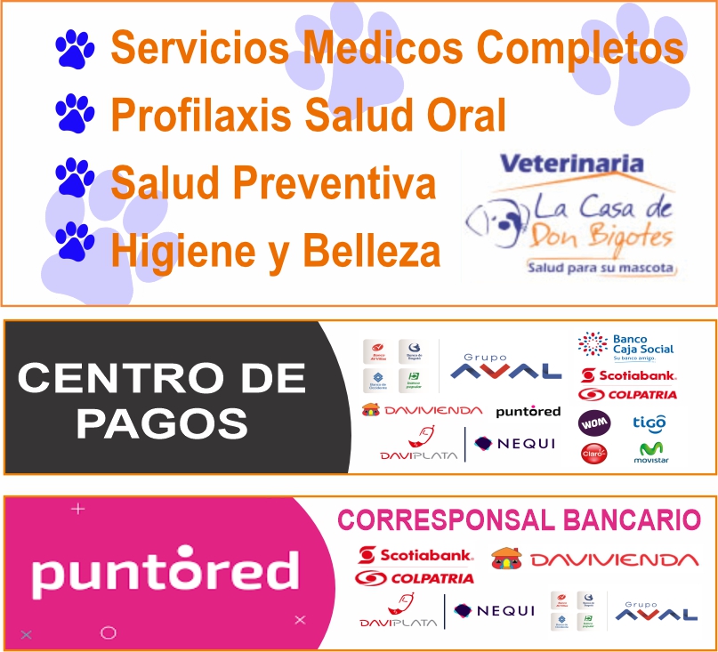 Veterinaria la Casa de Don Bigotes