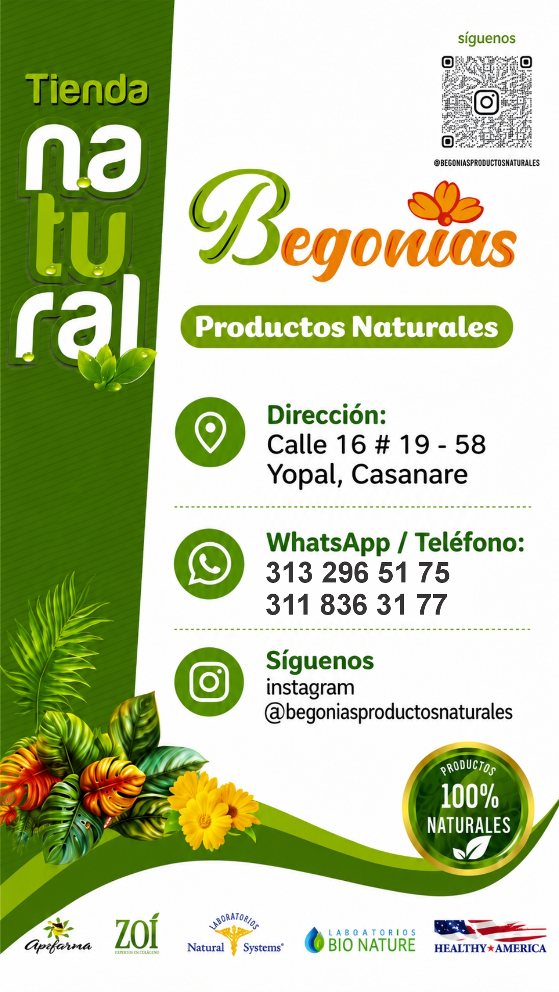 Begonias Productos Naturales