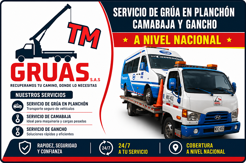 TM GRUAS