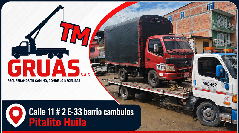 TM GRUAS