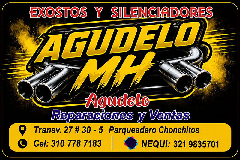 EXOSTOS Y SILENCIADORES AGUDELO MH