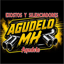EXOSTOS Y SILENCIADORES AGUDELO MH
