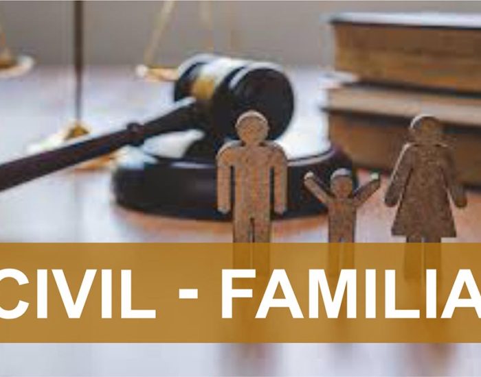 TEMIS PULL DE ABOGADOS