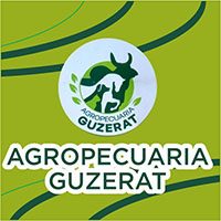 AGROPECUARIA GUZERAT