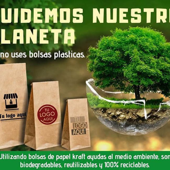 SEYAR Distribuidora