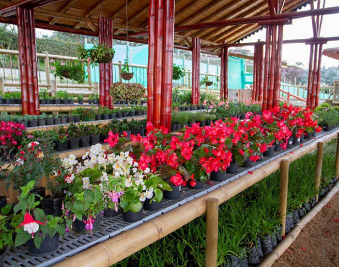 Jardín de los Silleteros
