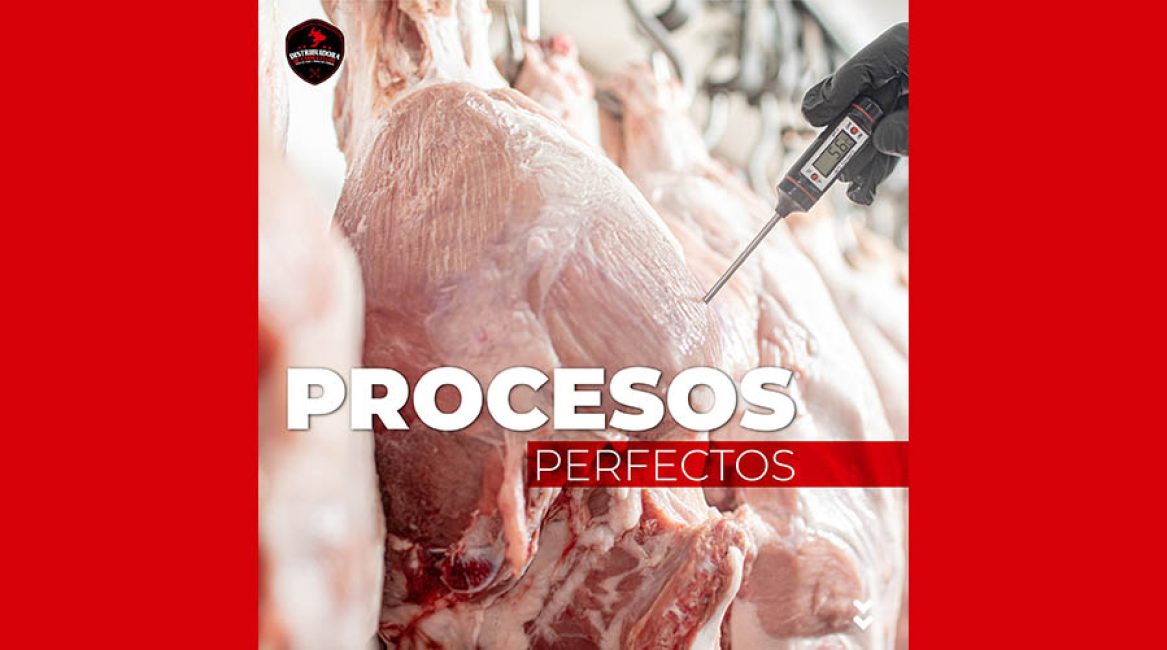 DISTRIBUIDORA SAN FELIPE