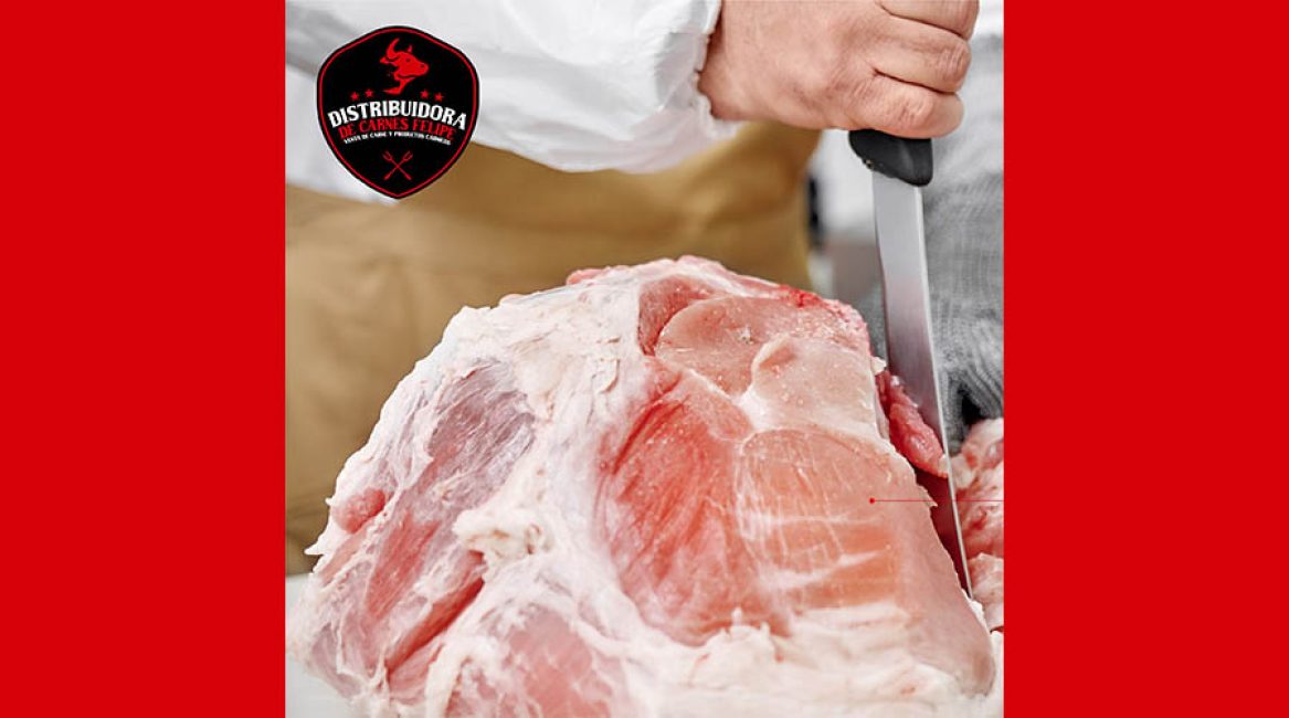 DISTRIBUIDORA SAN FELIPE