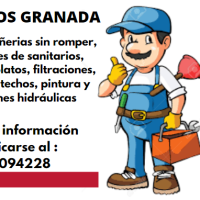 310616449_505991901541406_4784416624318117358_n