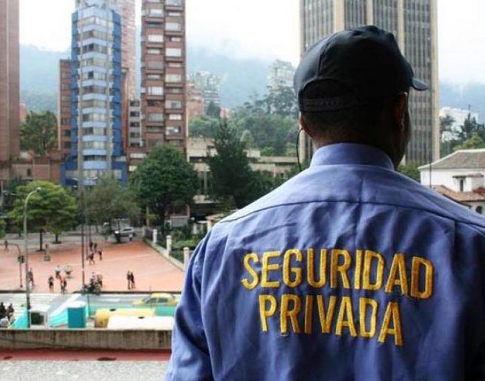 Academia de Seguridad Privada Insignia