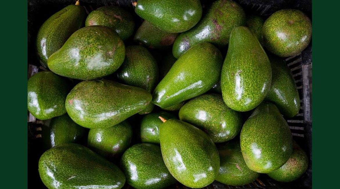 DISTRIBUIDORA CUBILLOS LC FRUTAS Y VERDURAS
