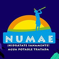 Agua Pura Numae ¡Hidratate Sanamente!