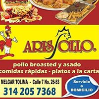 Arispollo-BANNER