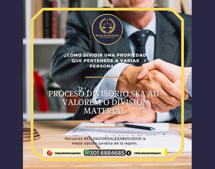 Bello & Gonzalez Abogados S.A.SIMAGEN BYG-2
