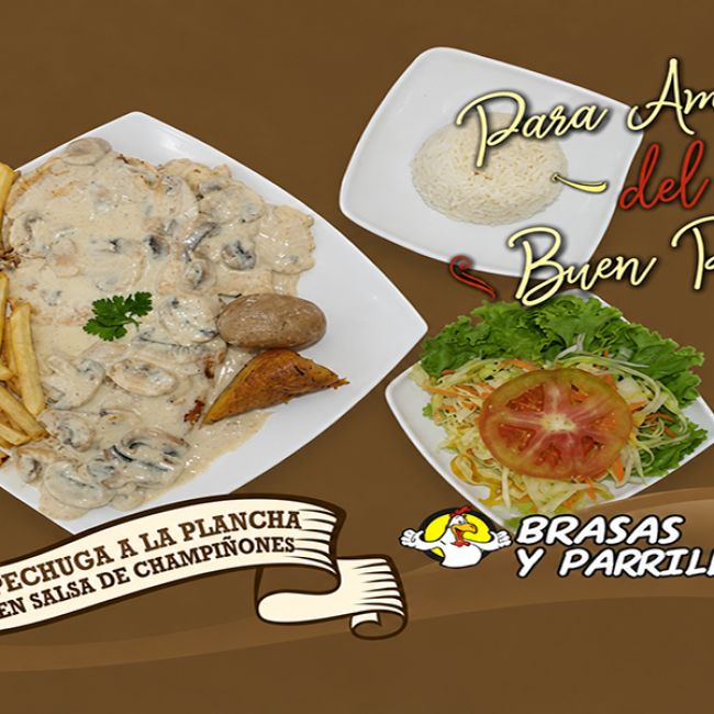 BRASAS Y PARRILLA