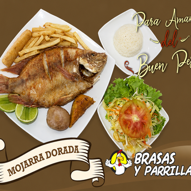 BRASAS Y PARRILLA