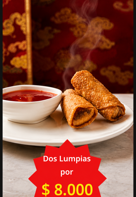 RESTAURANTE CHINO FELICIDAD Y FORTUNA