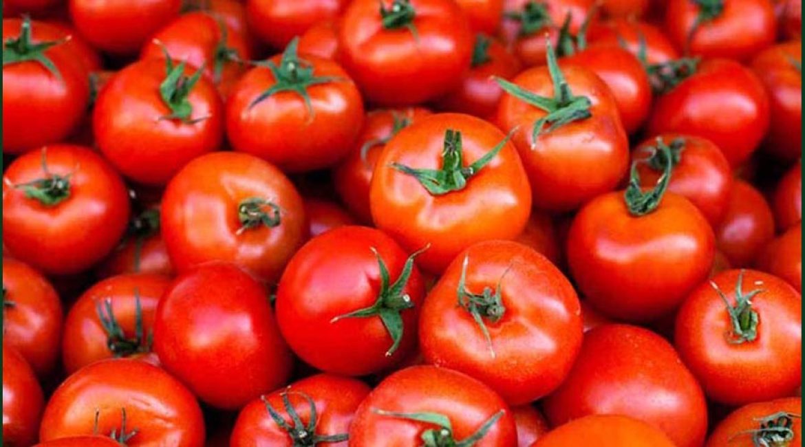 DISTRIBUIDORA CUBILLOS LC FRUTAS Y VERDURAS