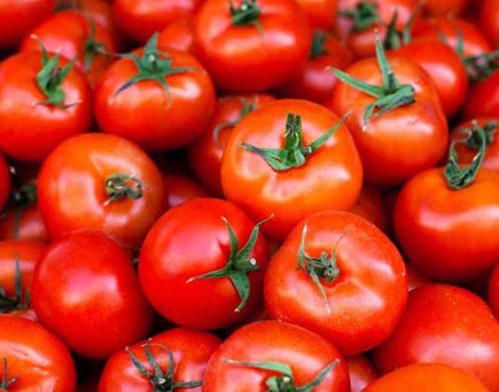 DISTRIBUIDORA CUBILLOS LC FRUTAS Y VERDURAS